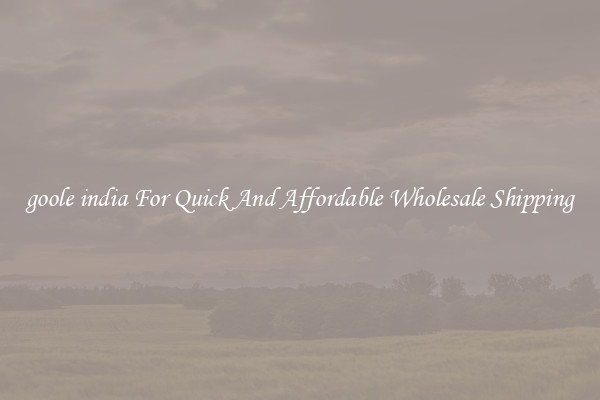 goole india For Quick And Affordable Wholesale Shipping
