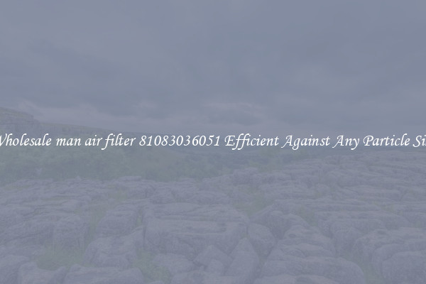 Wholesale man air filter 81083036051 Efficient Against Any Particle Size