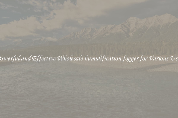 Powerful and Effective Wholesale humidification fogger for Various Uses