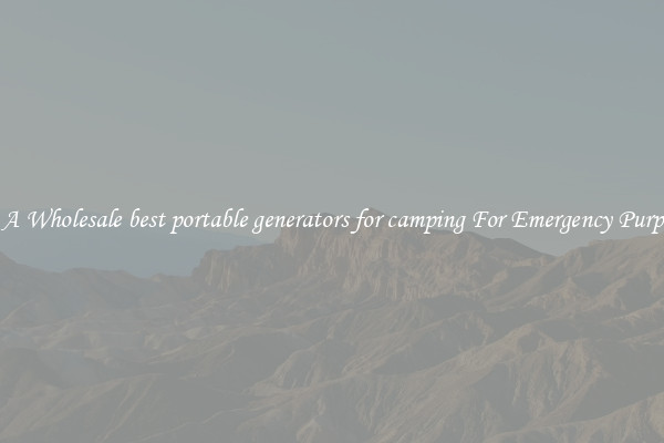 Get A Wholesale best portable generators for camping For Emergency Purposes