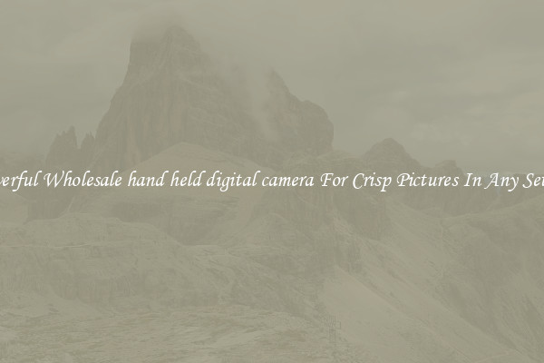 Powerful Wholesale hand held digital camera For Crisp Pictures In Any Setting