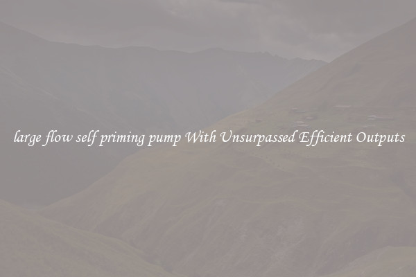 large flow self priming pump With Unsurpassed Efficient Outputs