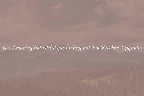 Get Amazing industrial gas boiling pot For Kitchen Upgrades
