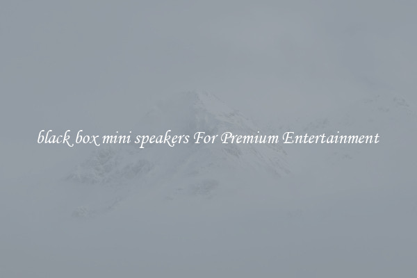 black box mini speakers For Premium Entertainment 