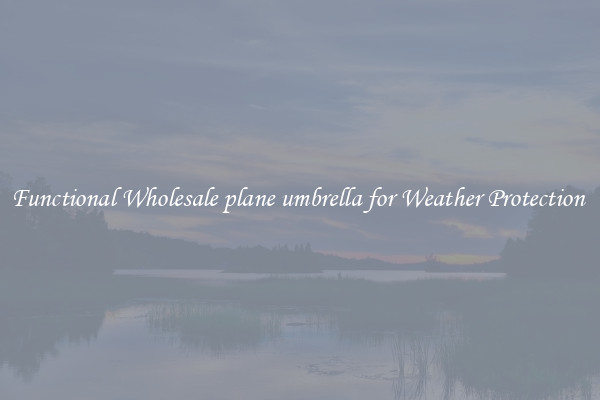 Functional Wholesale plane umbrella for Weather Protection 