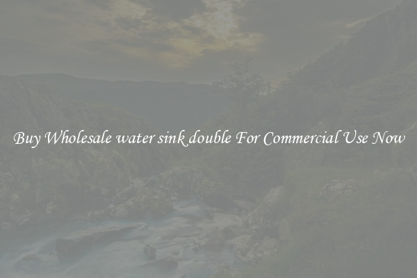 Buy Wholesale water sink double For Commercial Use Now