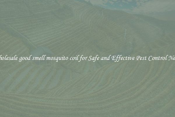 Wholesale good smell mosquito coil for Safe and Effective Pest Control Needs