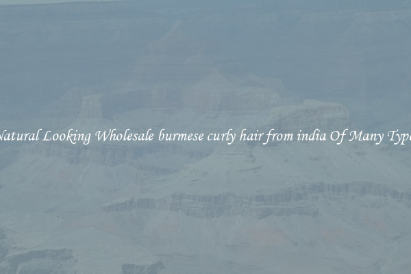 Natural Looking Wholesale burmese curly hair from india Of Many Types
