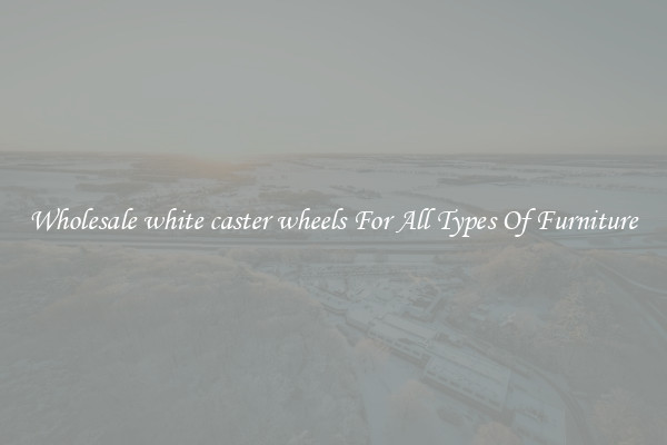 Wholesale white caster wheels For All Types Of Furniture