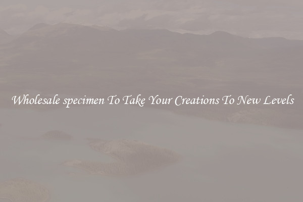 Wholesale specimen To Take Your Creations To New Levels