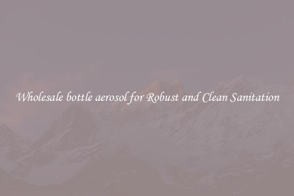 Wholesale bottle aerosol for Robust and Clean Sanitation