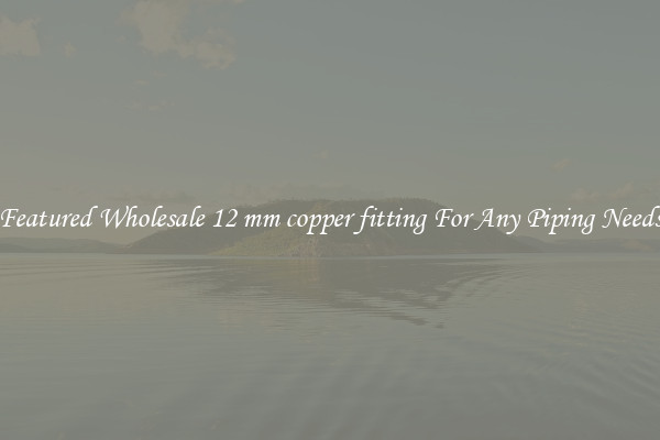 Featured Wholesale 12 mm copper fitting For Any Piping Needs