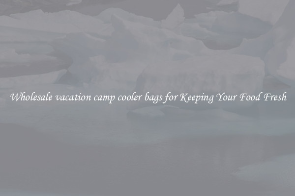 Wholesale vacation camp cooler bags for Keeping Your Food Fresh